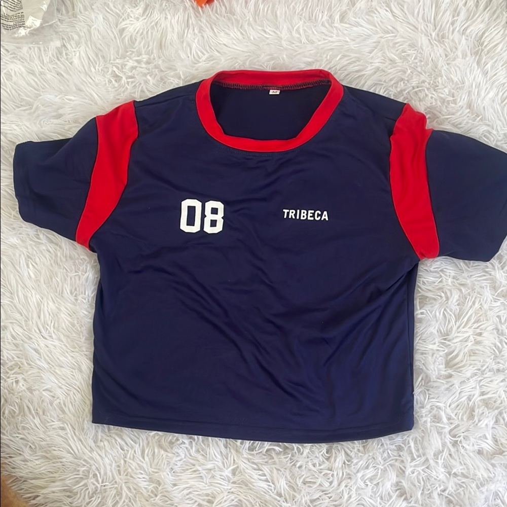 Blue and Red Crop Top with Sporty Design